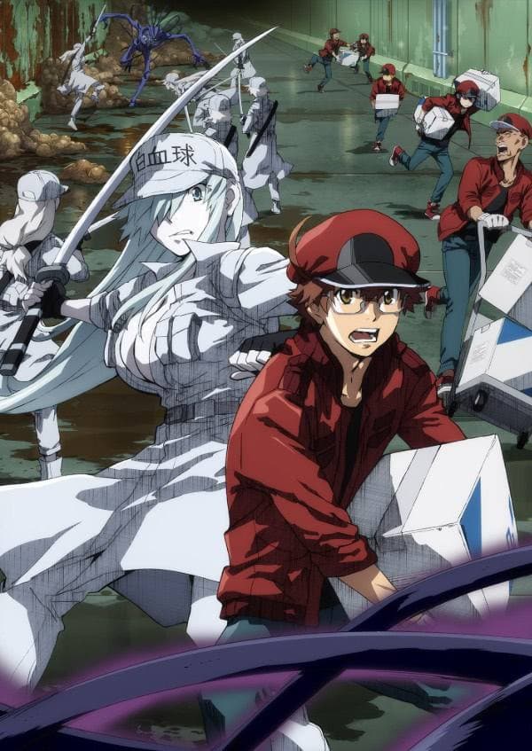 Anime Evening #41 Cells at Work Dark Side