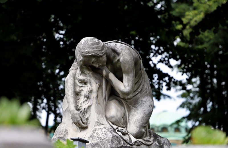 A Walk of Heart and Mind