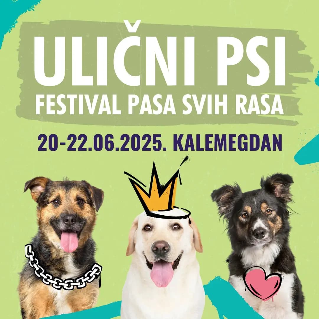 Street Dogs All Breeds Festival