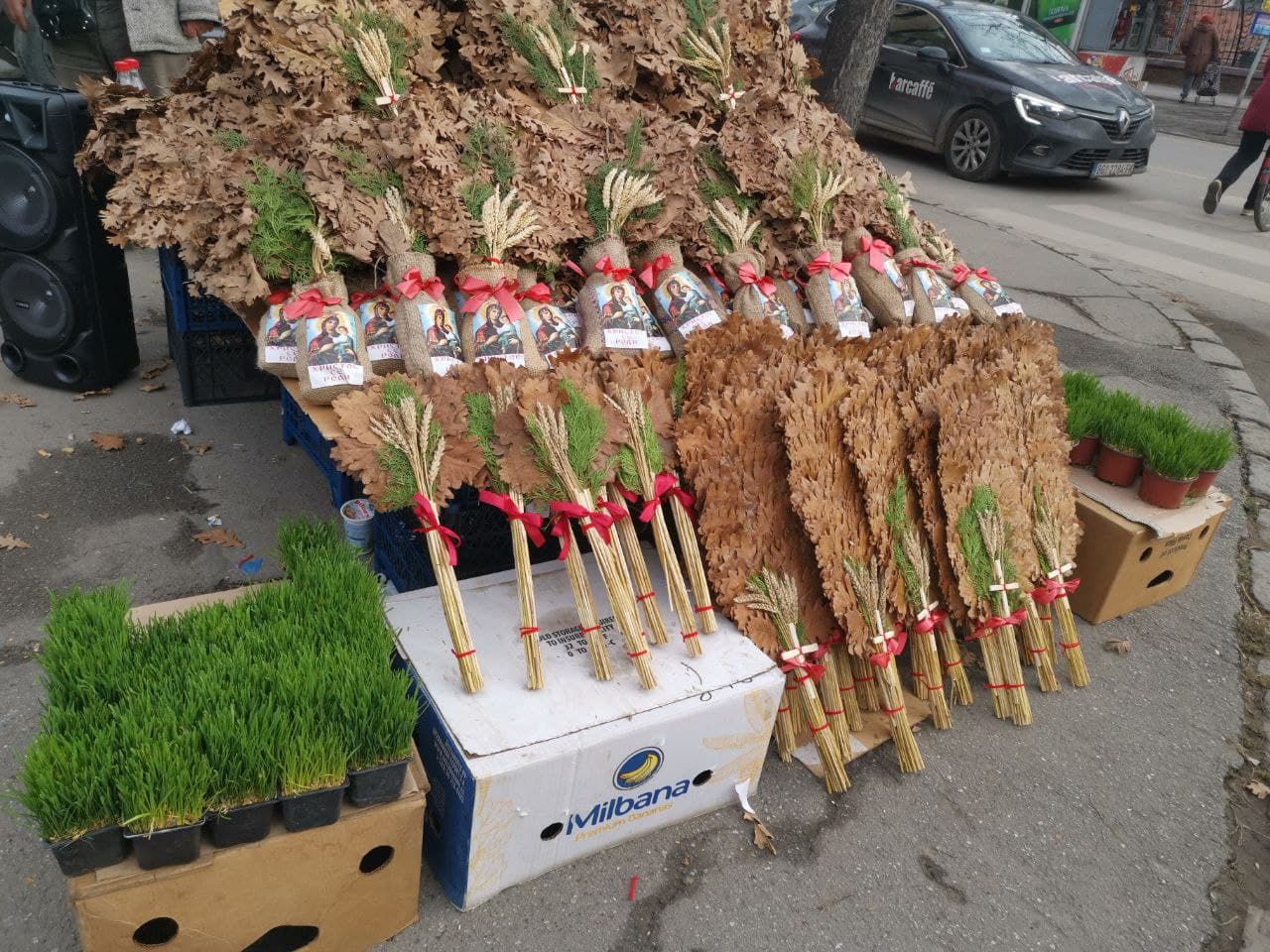 Бадни Дан в Суботице