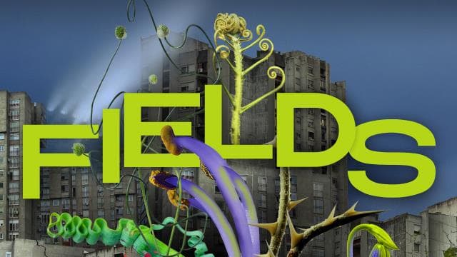 Fields Festival