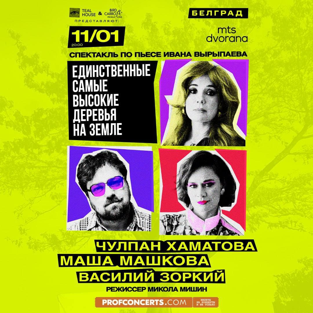 The Tallest Trees on Earth