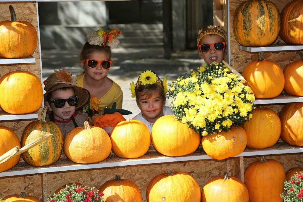 Najveća kikindska manifestacija „Dani ludaje“