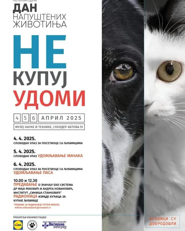 Don't Buy, Adopt