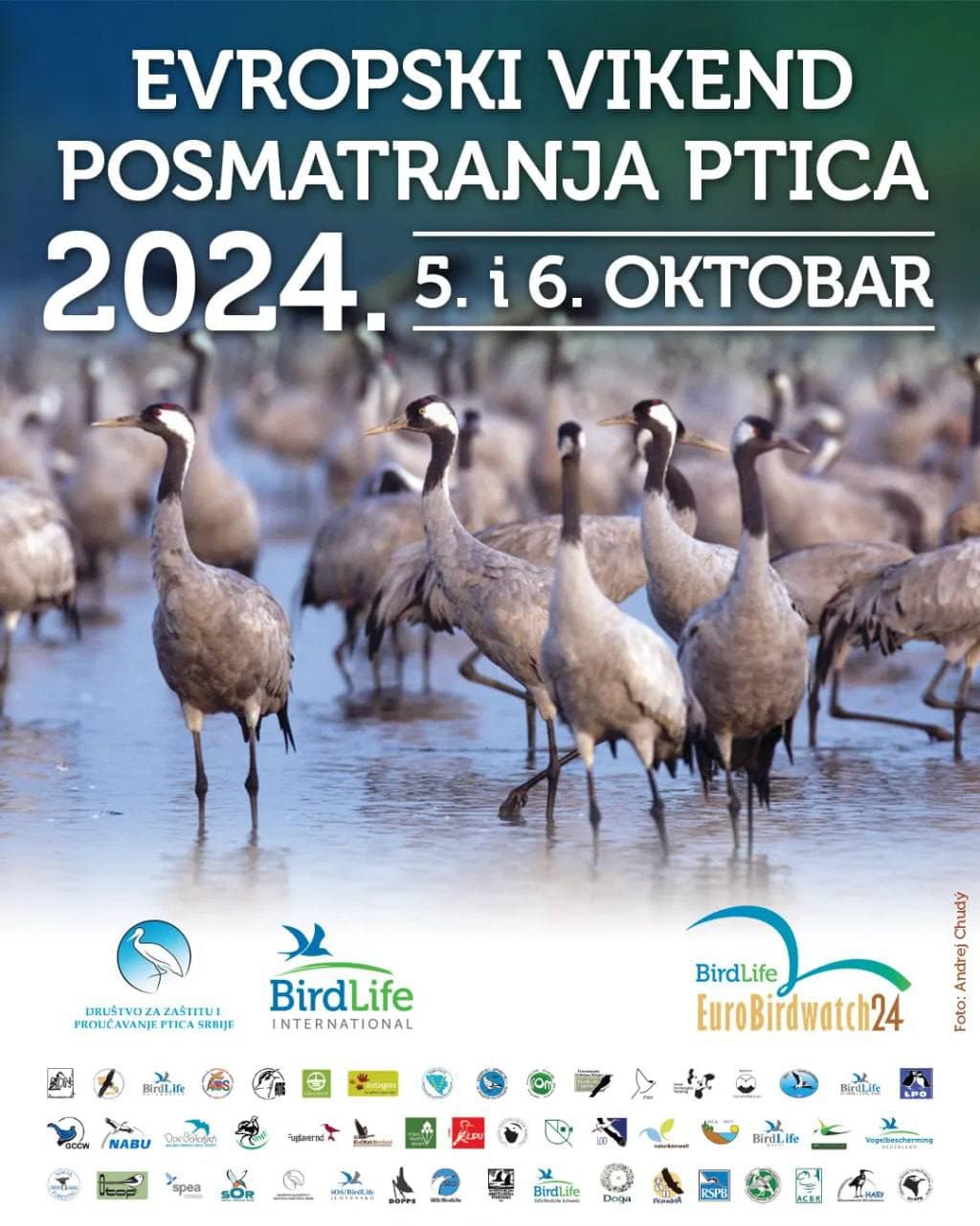 European Birdwatching Weekend