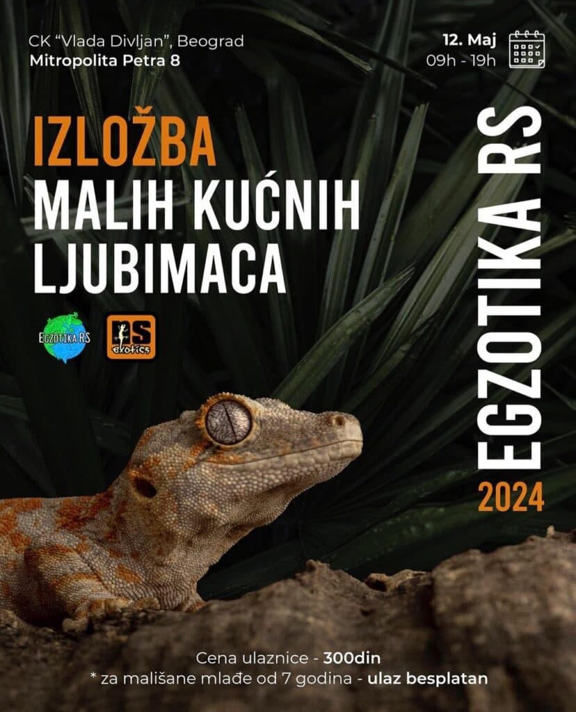 Exhibition of Small Pets