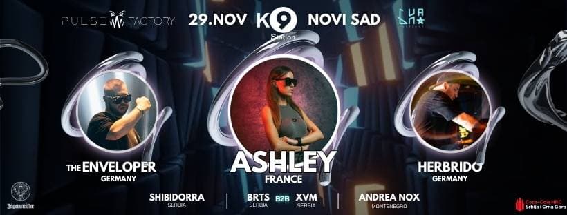 Pulse Factory X Buna fest