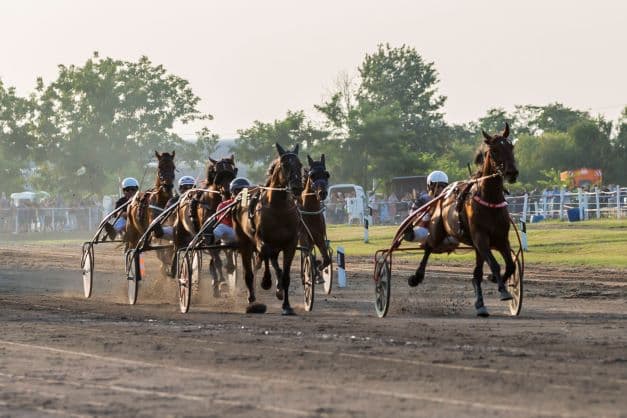 Opening of the Season at Subotica Racecourse