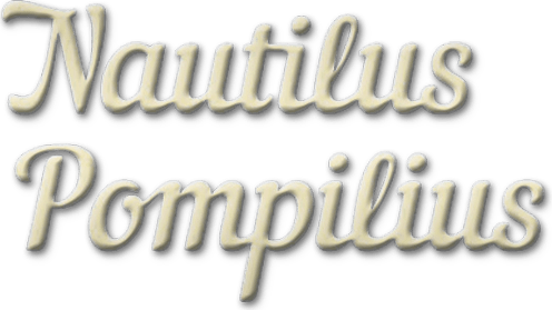Nautilus Pompilius