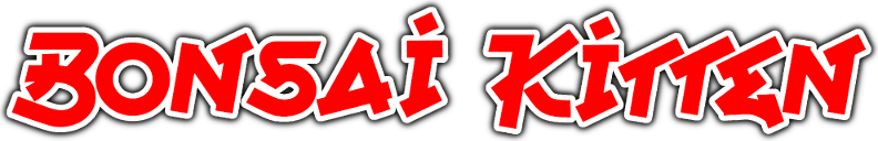 Bonsai Kitten