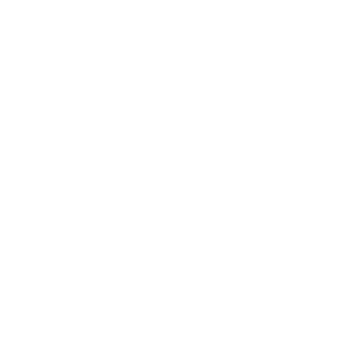 The Brian Jonestown Massacre