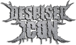 Despised Icon