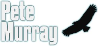 Pete Murray