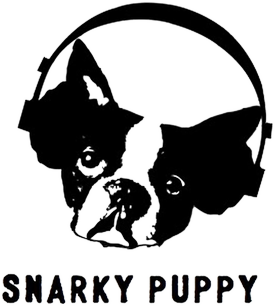 Snarky Puppy