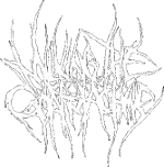 Milking the Goatmachine