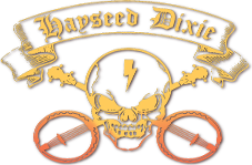 Hayseed Dixie