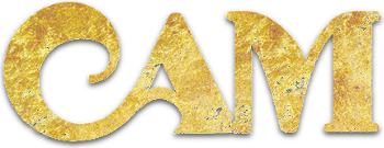 Cam