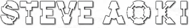 Steve Aoki