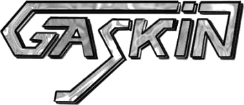 Gaskin