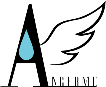 ANGERME